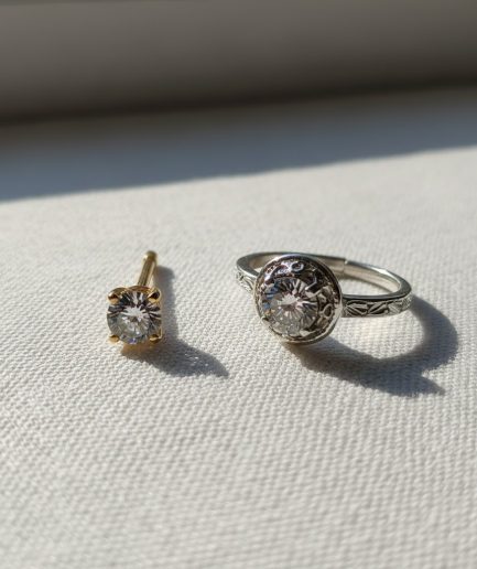 Women Gold Minimal Elegant Premium Nose Pin Wear