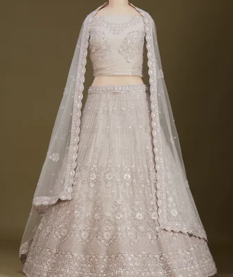 Light Grey Zariwork Net Readymade Lehenga