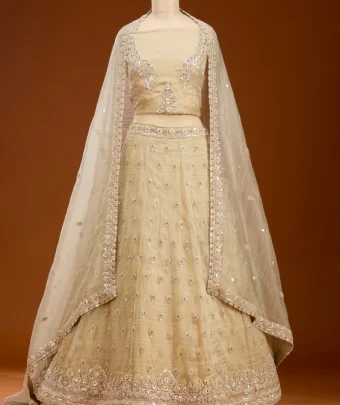 Beige Stonework Tissue Readymade Lehenga