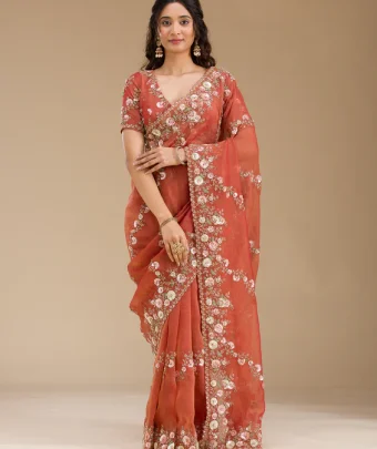 Rust Sequins Tissue Saree